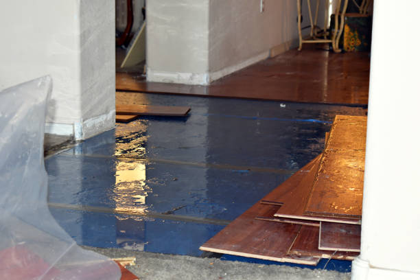 Professional Burst Pipe Water Damage technician working in Allendale, NJ